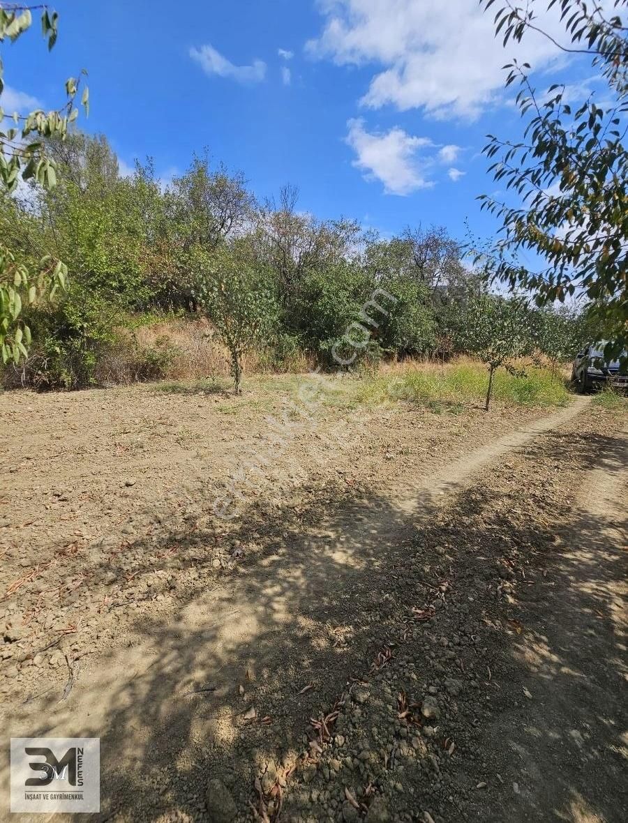 Sakarya Geyve Hisarlık 510 M2 Karışık Meyve Bahçesi Köye 250 M - Görsel 7