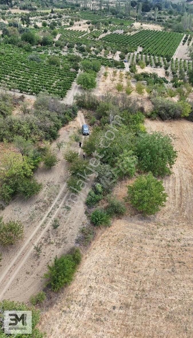 Sakarya Geyve Hisarlık 510 M2 Karışık Meyve Bahçesi Köye 250 M - Görsel 22