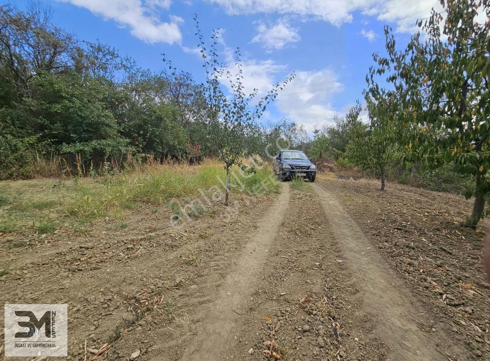 Sakarya Geyve Hisarlık 510 M2 Karışık Meyve Bahçesi Köye 250 M - Görsel 16