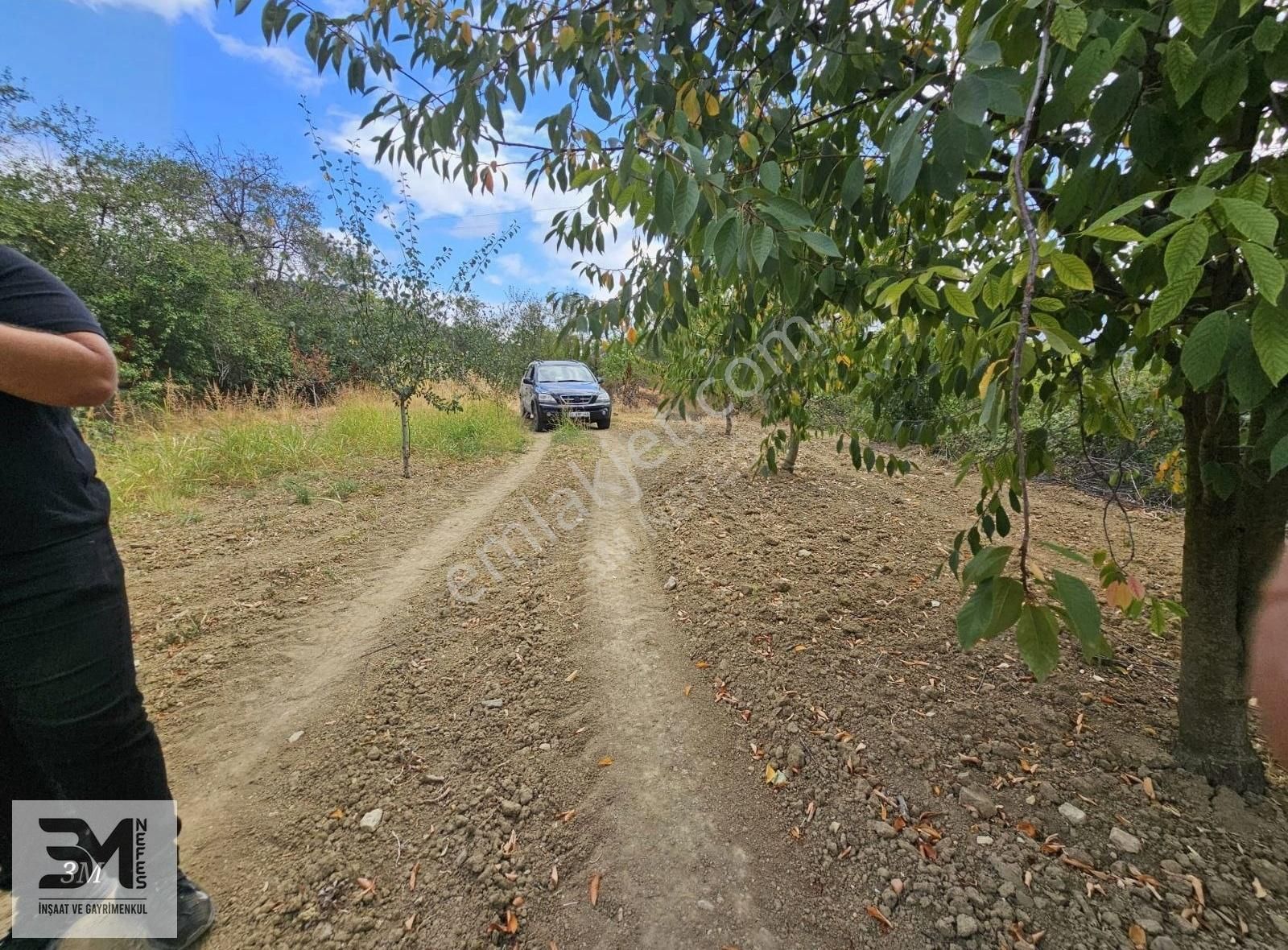 Sakarya Geyve Hisarlık 510 M2 Karışık Meyve Bahçesi Köye 250 M - Görsel 4
