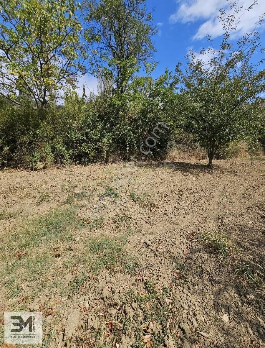 Sakarya Geyve Hisarlık 510 M2 Karışık Meyve Bahçesi Köye 250 M - Görsel 24