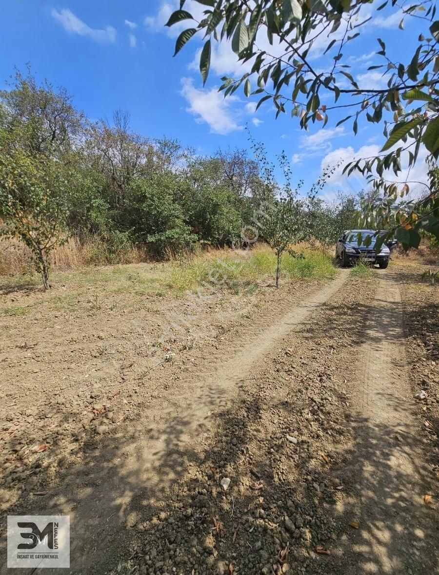 Sakarya Geyve Hisarlık 510 M2 Karışık Meyve Bahçesi Köye 250 M - Görsel 2