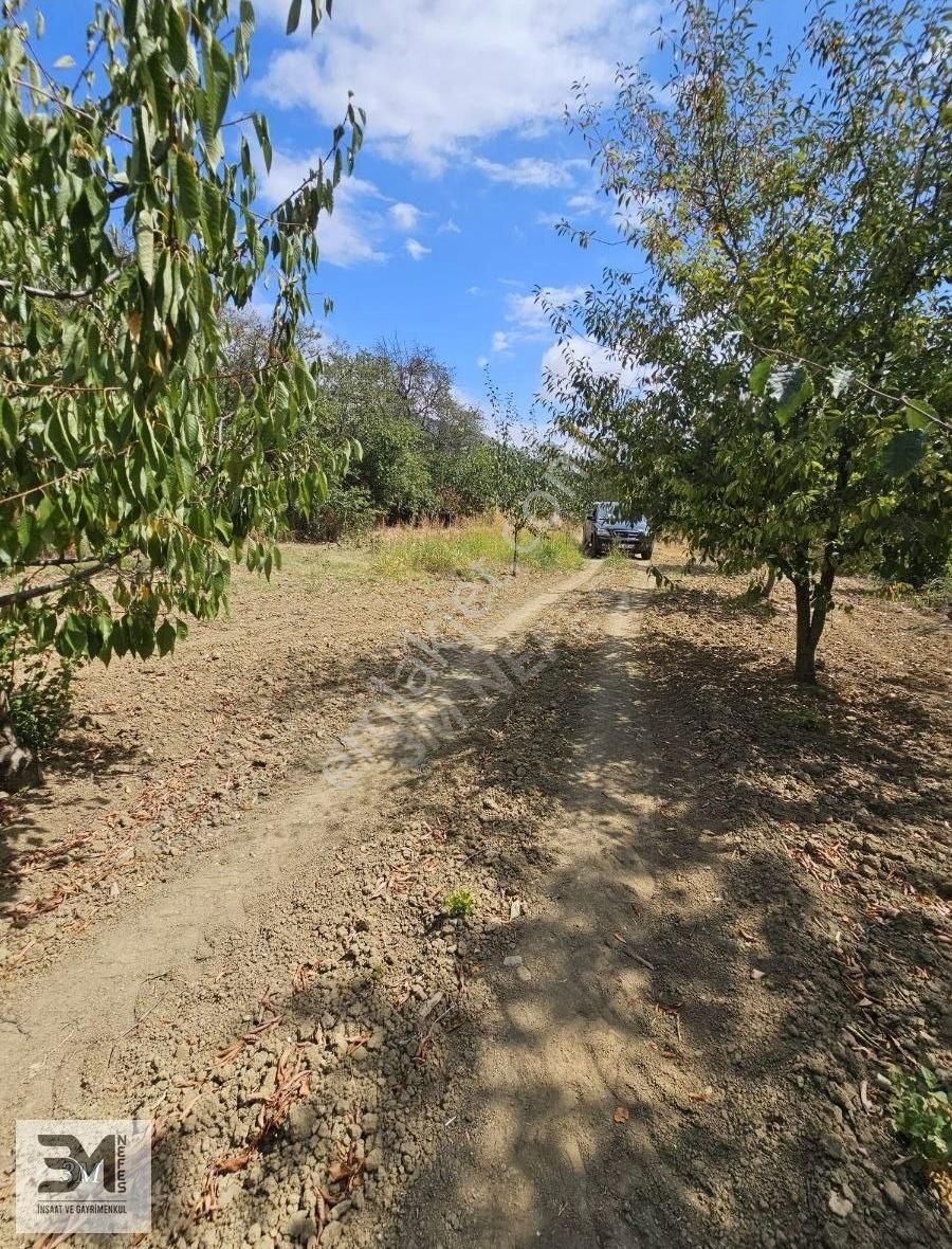 Sakarya Geyve Hisarlık 510 M2 Karışık Meyve Bahçesi Köye 250 M - Görsel 11