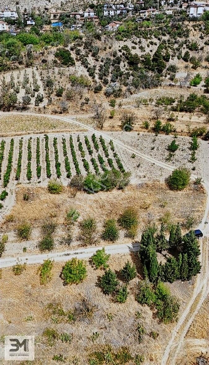 Sakarya Geyve Hisarlık 537 M2 Vişne Bahçesi Köye 200 Metre Uygun - Görsel 5