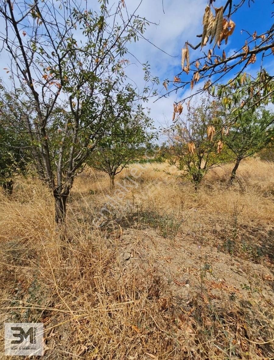 Sakarya Geyve Hisarlık 537 M2 Vişne Bahçesi Köye 200 Metre Uygun - Görsel 16