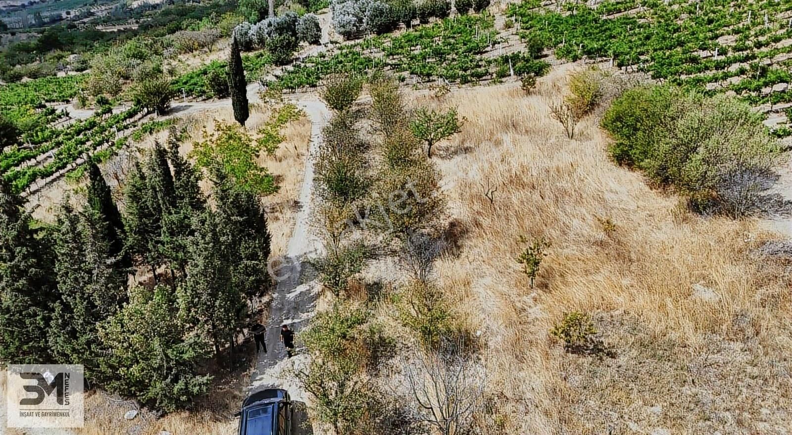 Sakarya Geyve Hisarlık 537 M2 Vişne Bahçesi Köye 200 Metre Uygun - Görsel 7