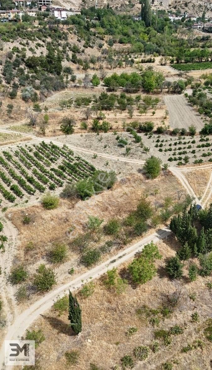 Sakarya Geyve Hisarlık 537 M2 Vişne Bahçesi Köye 200 Metre Uygun - Görsel 11