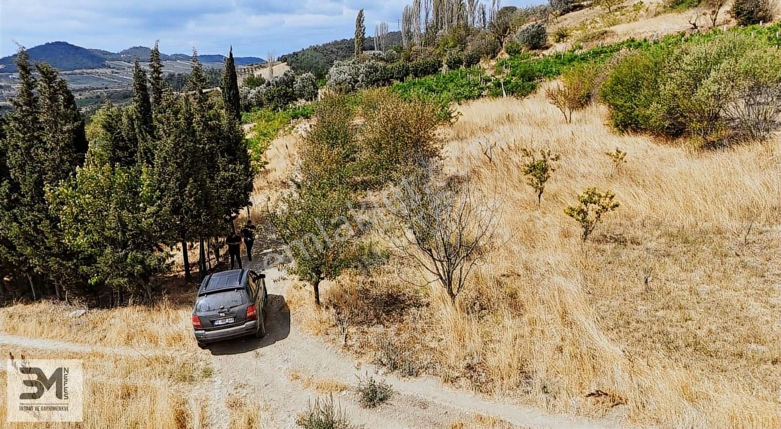 Sakarya Geyve Hisarlık 537 M2 Vişne Bahçesi Köye 200 Metre Uygun - Görsel 2