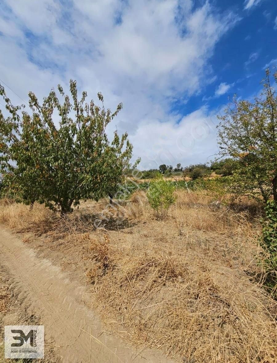 Sakarya Geyve Hisarlık 537 M2 Vişne Bahçesi Köye 200 Metre Uygun - Görsel 26