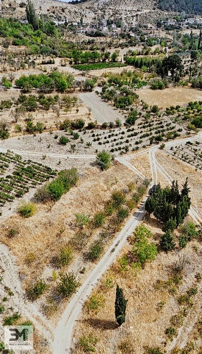 Sakarya Geyve Hisarlık 537 M2 Vişne Bahçesi Köye 200 Metre Uygun - Görsel 3
