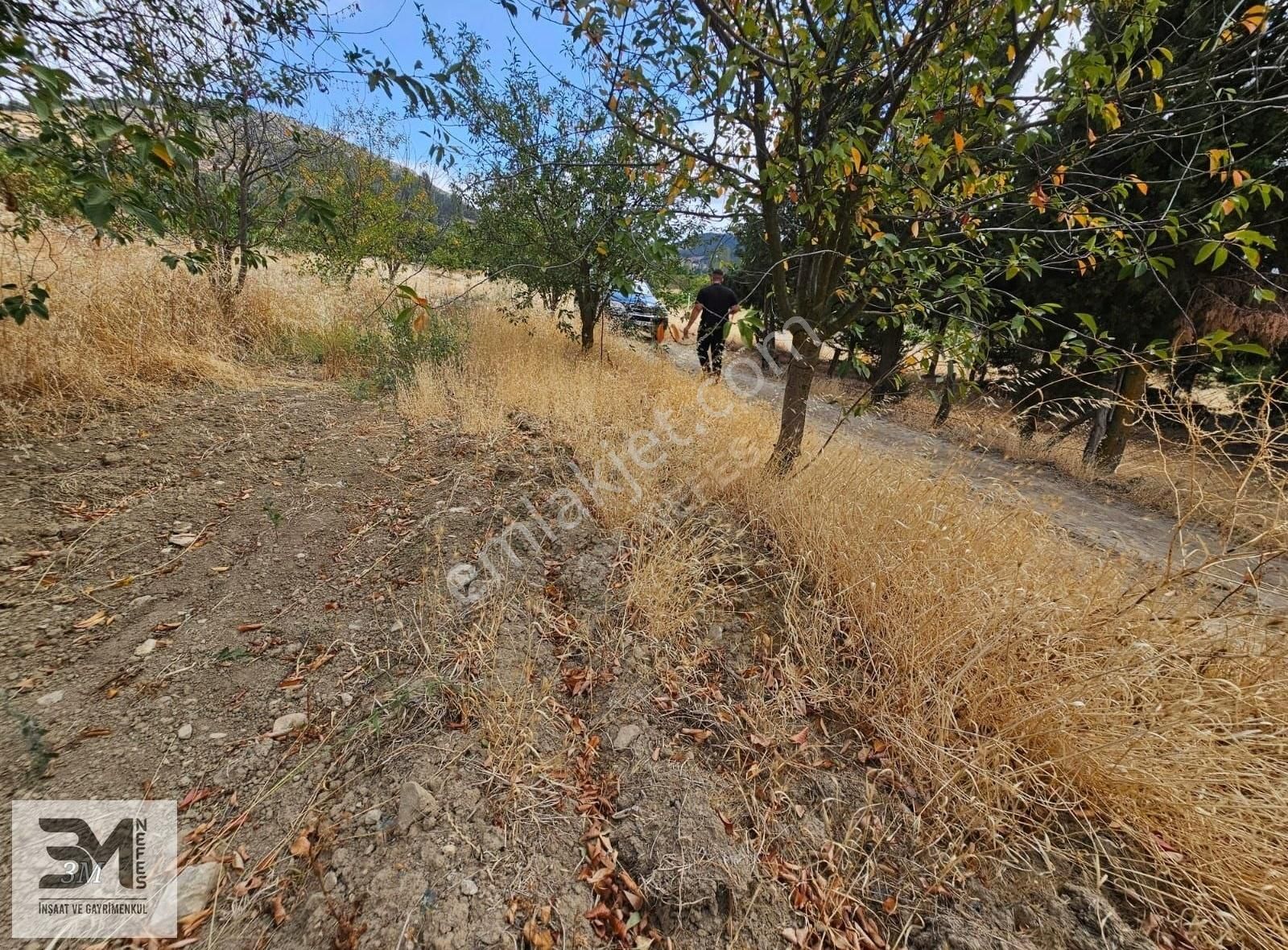 Sakarya Geyve Hisarlık 537 M2 Vişne Bahçesi Köye 200 Metre Uygun - Görsel 4
