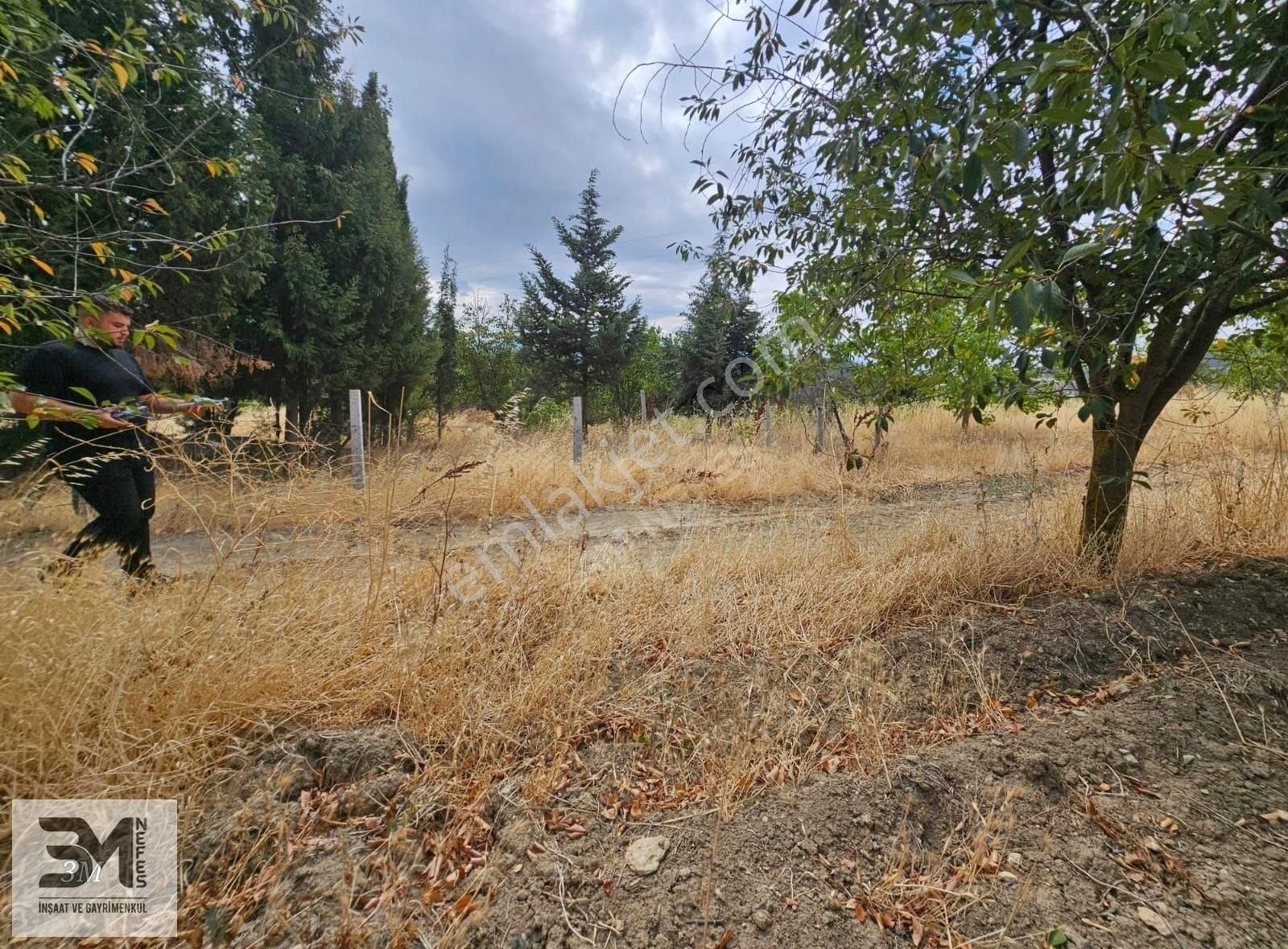 Sakarya Geyve Hisarlık 537 M2 Vişne Bahçesi Köye 200 Metre Uygun - Görsel 17