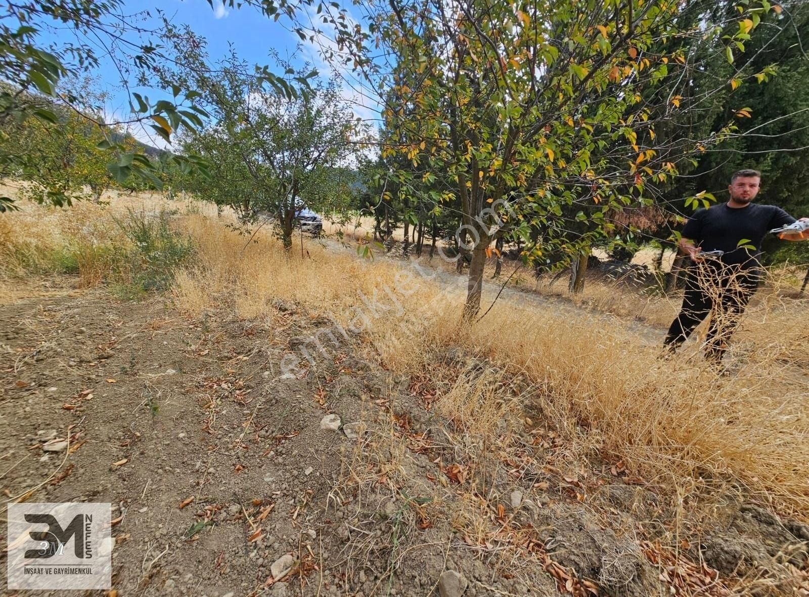 Sakarya Geyve Hisarlık 537 M2 Vişne Bahçesi Köye 200 Metre Uygun - Görsel 8