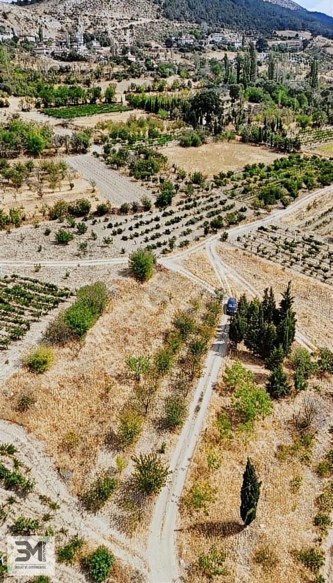 Sakarya Geyve Hisarlık 537 M2 Vişne Bahçesi Köye 200 Metre Uygun - Görsel 14