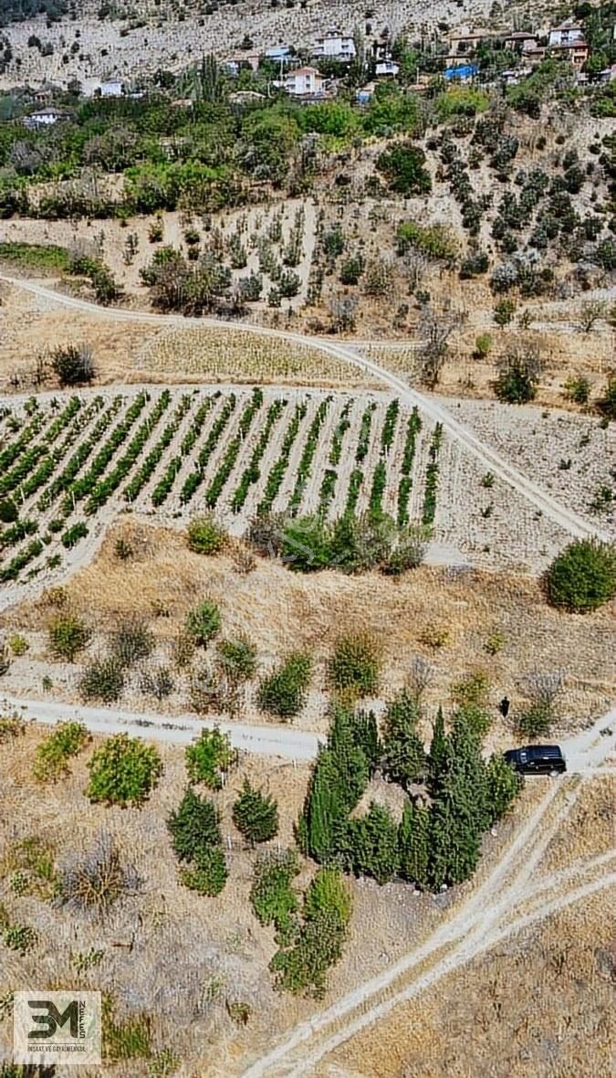 Sakarya Geyve Hisarlık 537 M2 Vişne Bahçesi Köye 200 Metre Uygun - Görsel 18