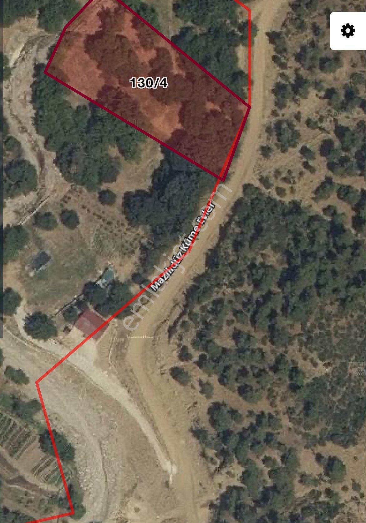 Denizli Yeşilyayla’da 4550m2 Yeşillikler İçinde Yetişkin Ağaçları Olan Doğal Satılık Ortam - Görsel 2