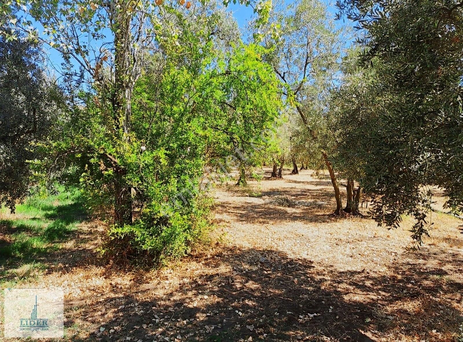 Bursa Orhangazi Sölöz Mah.3 Kat Konut İmarlı Doğayla İç İçe Arsa - Görsel 18