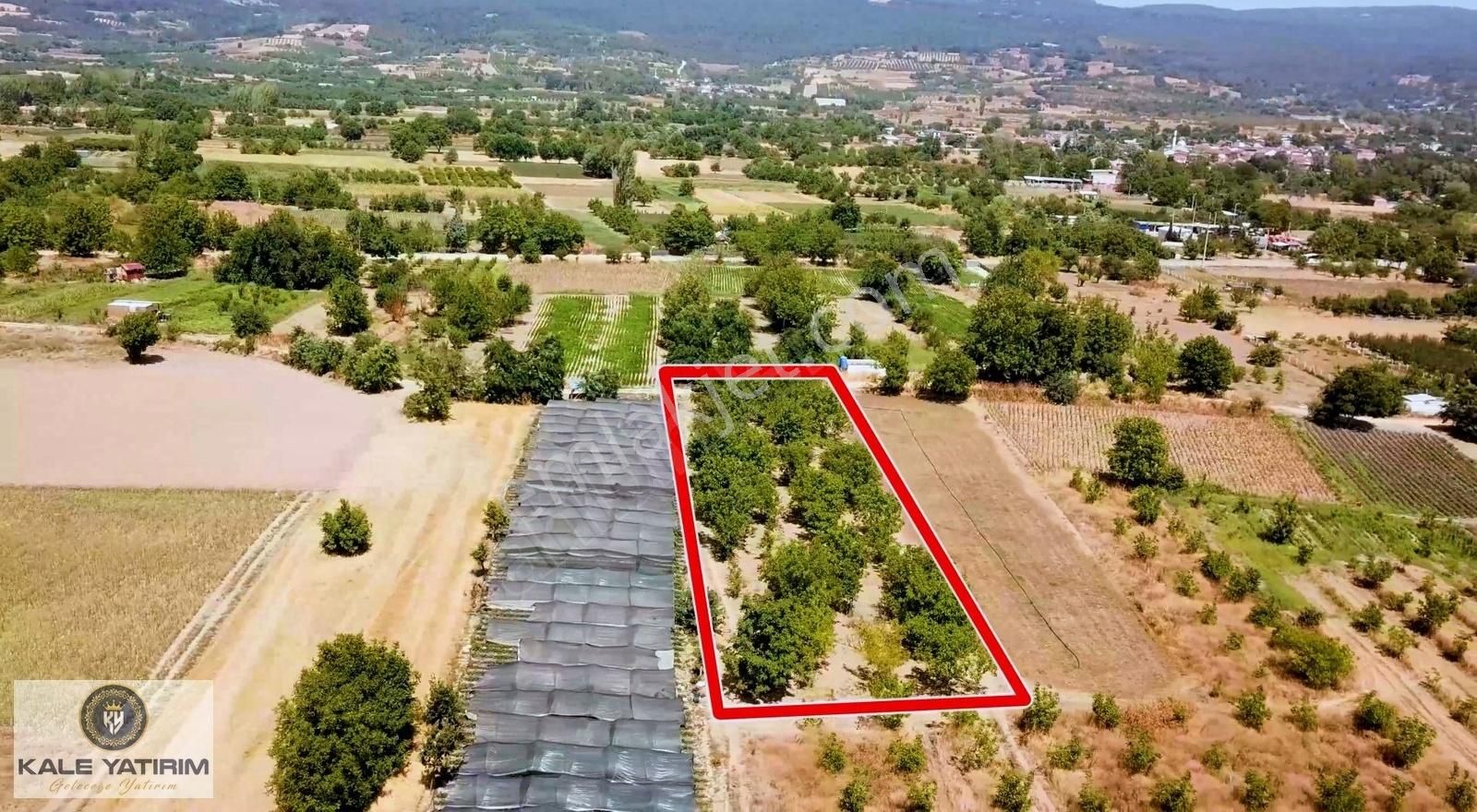 Kaleden İnegöl Küçükyenice'de Yol Cepheli 2.563m² Ceviz Bahçesi - Görsel 4