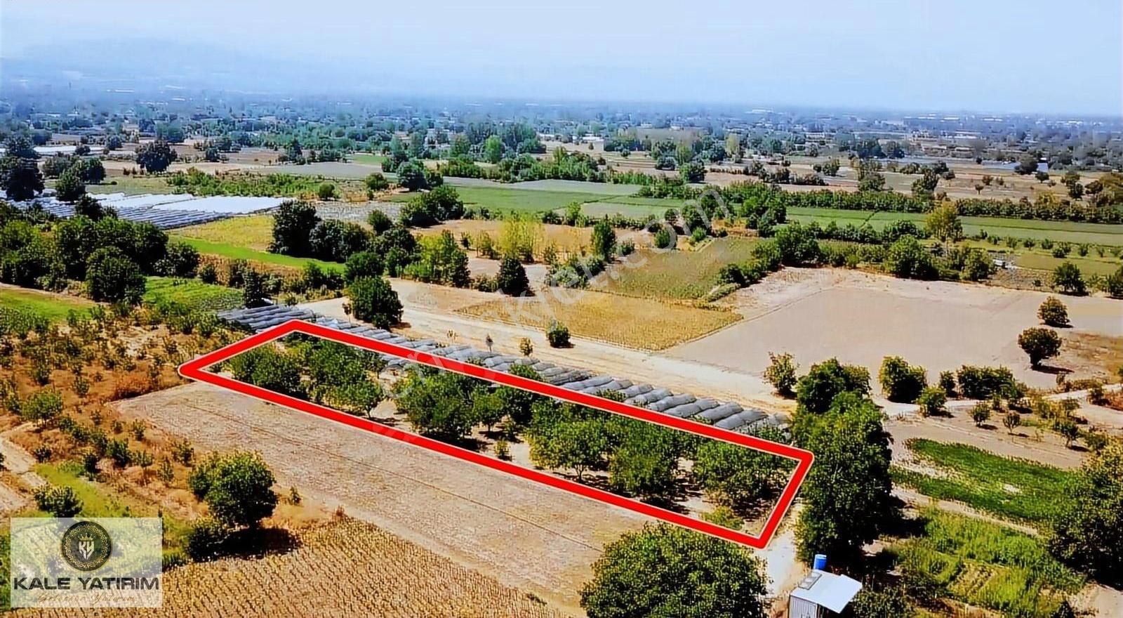 Kaleden İnegöl Küçükyenice'de Yol Cepheli 2.563m² Ceviz Bahçesi - Görsel 8