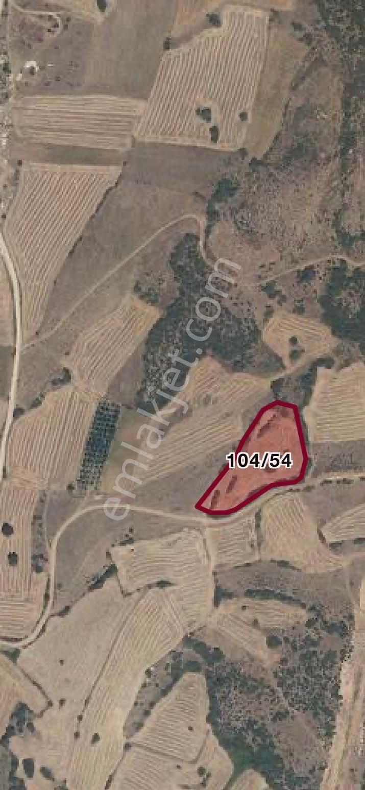 Sahibinden Hamzabey Osb İmar Dibi 8.350 M2 Satılık Tarla Fırsat!!