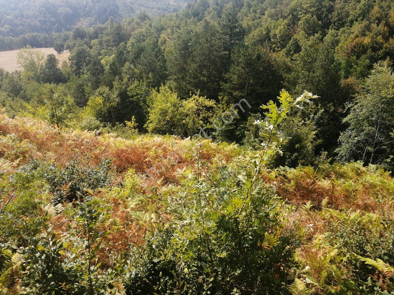 Bu Fırsat Kaçmaz . Fiyat Düştü - Görsel 3