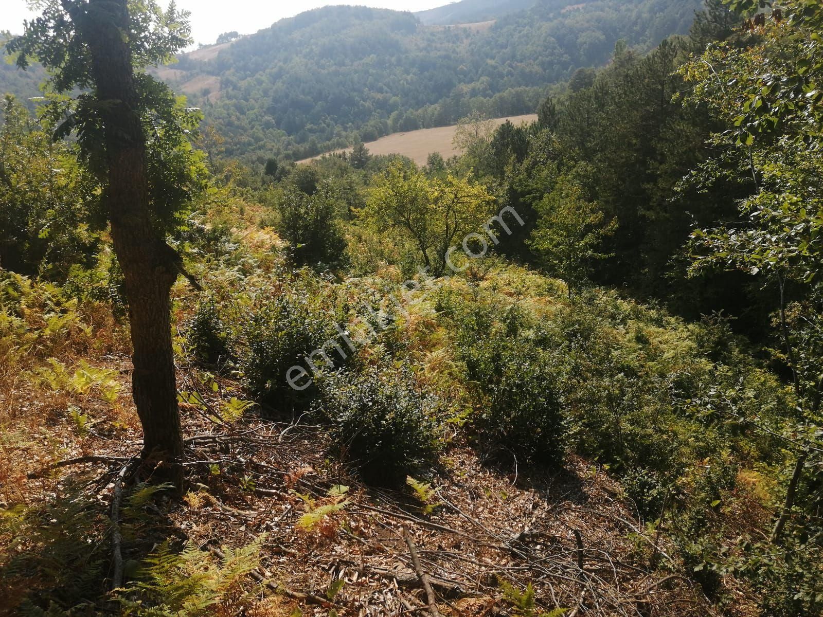 Bu Fırsat Kaçmaz . Fiyat Düştü - Görsel 10