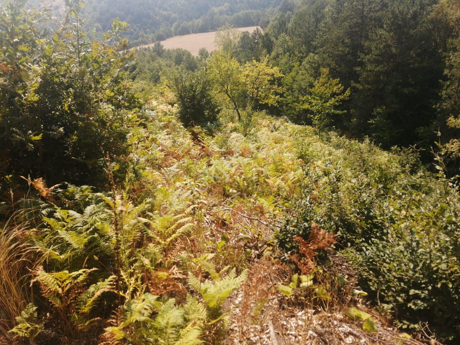 Bu Fırsat Kaçmaz . Fiyat Düştü - Görsel 7