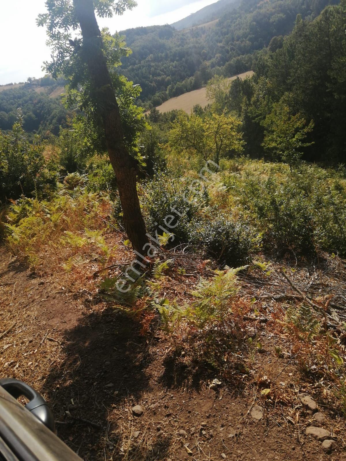 Bu Fırsat Kaçmaz . Fiyat Düştü - Görsel 11