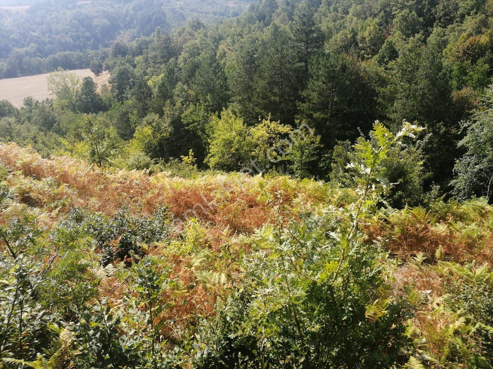 Bu Fırsat Kaçmaz . Fiyat Düştü - Görsel 5