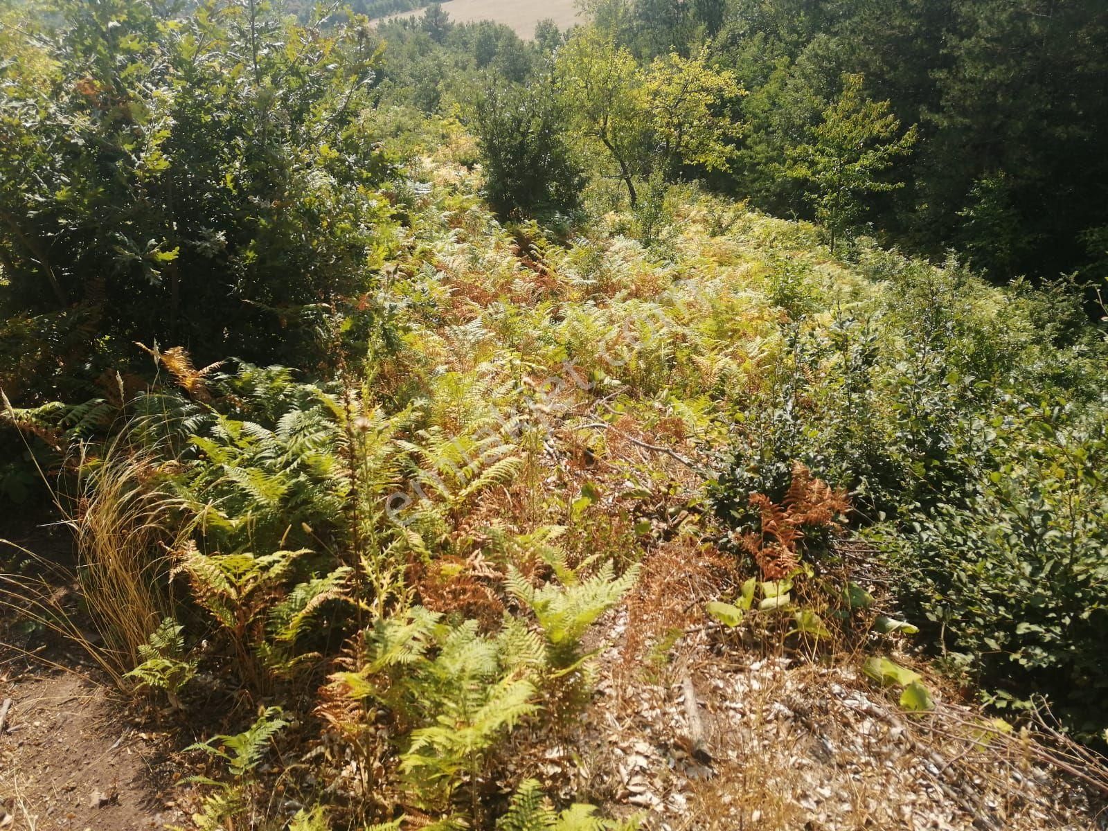 Bu Fırsat Kaçmaz . Fiyat Düştü - Görsel 8