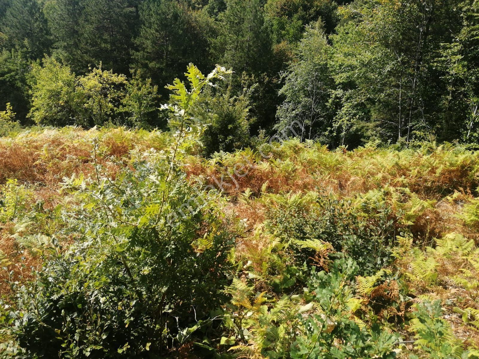 Bu Fırsat Kaçmaz . Fiyat Düştü - Görsel 4
