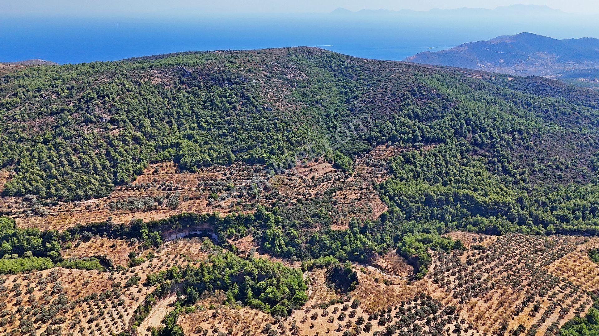Datça'da Satılık Uygun Fiyatlı Tarla - Görsel 19