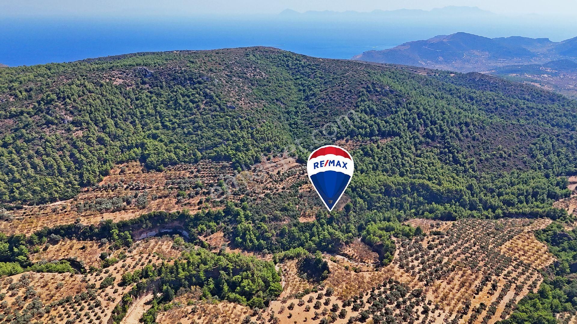 Datça'da Satılık Uygun Fiyatlı Tarla - Görsel 6