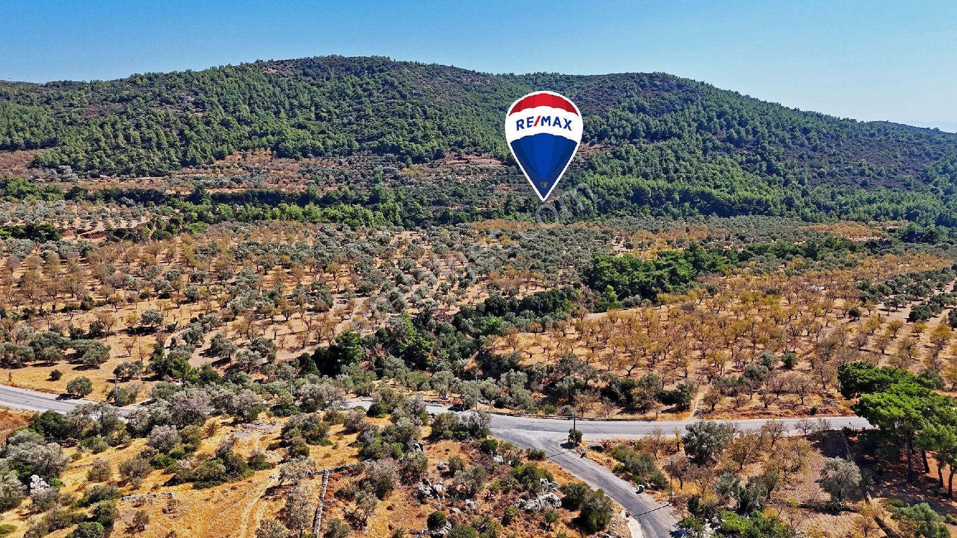 Datça'da Satılık Uygun Fiyatlı Tarla - Görsel 15