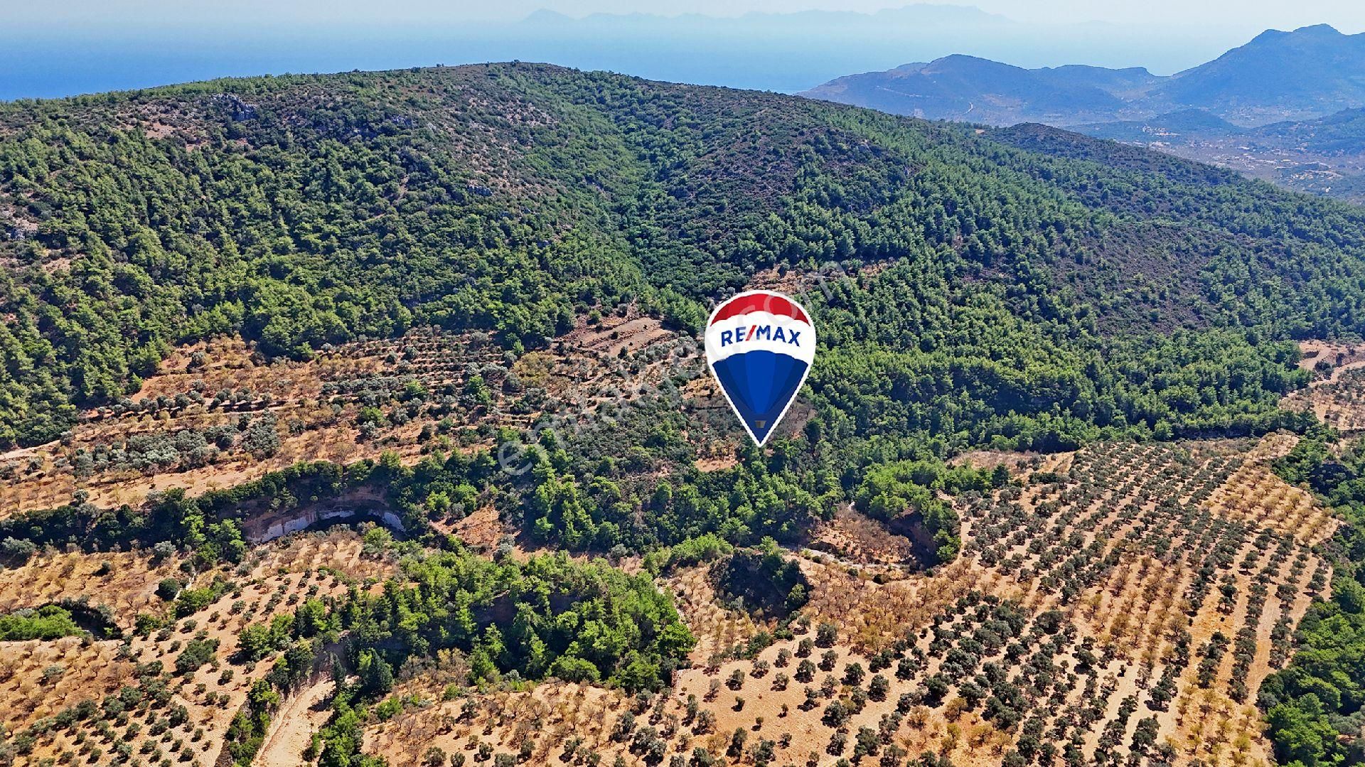 Datça'da Satılık Uygun Fiyatlı Tarla - Görsel 9