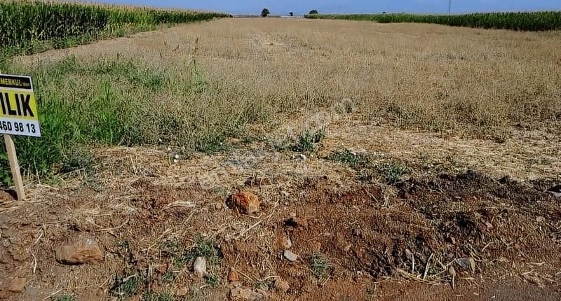 Solmaz Mahallesinde Satılık Tarlalar - Görsel 4