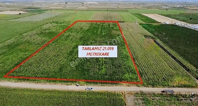 Solmaz Mahallesinde Satılık Tarlalar - Görsel 8