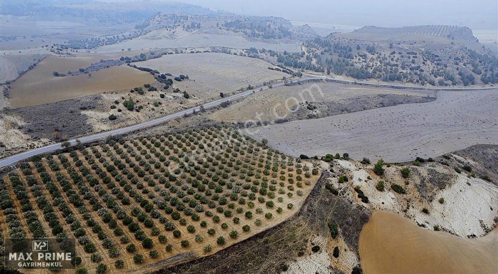 Max Prıme | Sarayköy'de Otobana Yakın 29.736 M² Fırsat Arazi - Görsel 7