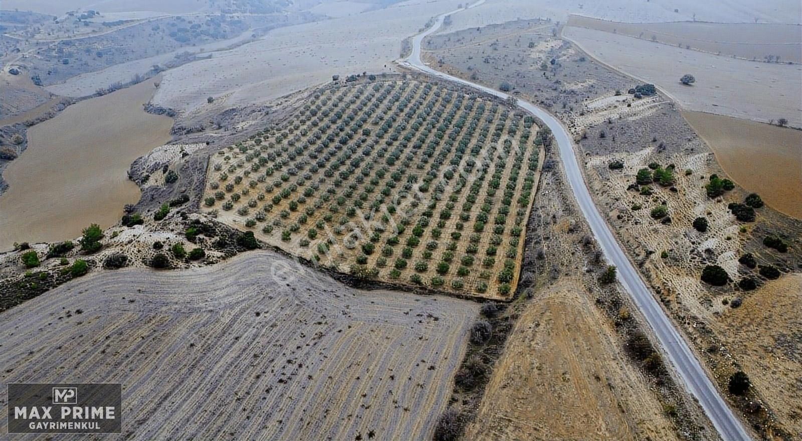 Max Prıme | Sarayköy'de Otobana Yakın 29.736 M² Fırsat Arazi - Görsel 12
