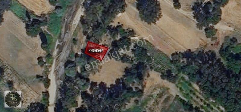 Kırklareli / Pınarhisar Tozaklı'da , 194.57 M² Satılık Tarla - Görsel 2