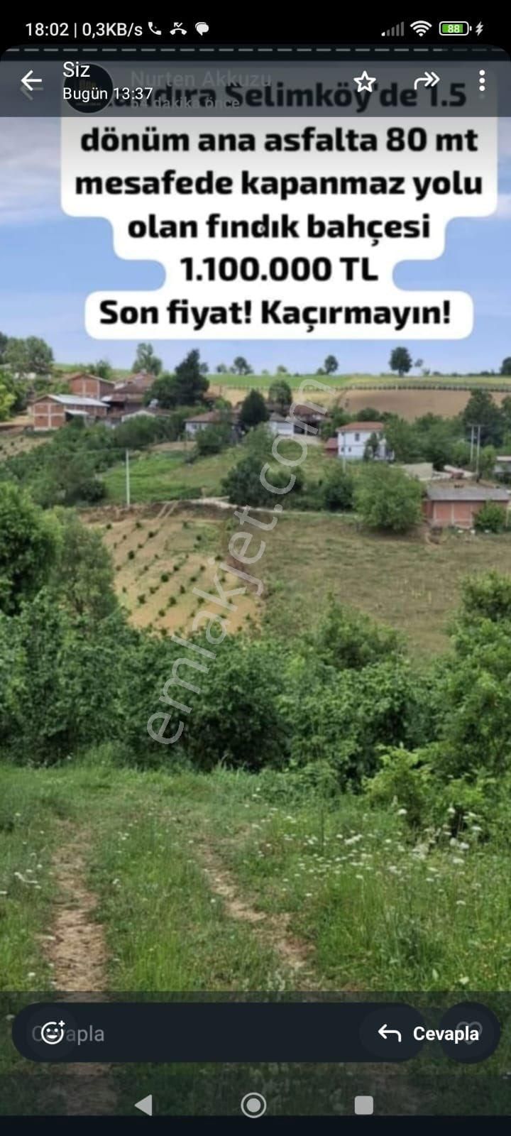 Kandıra Satılık Fındık Bahçesi