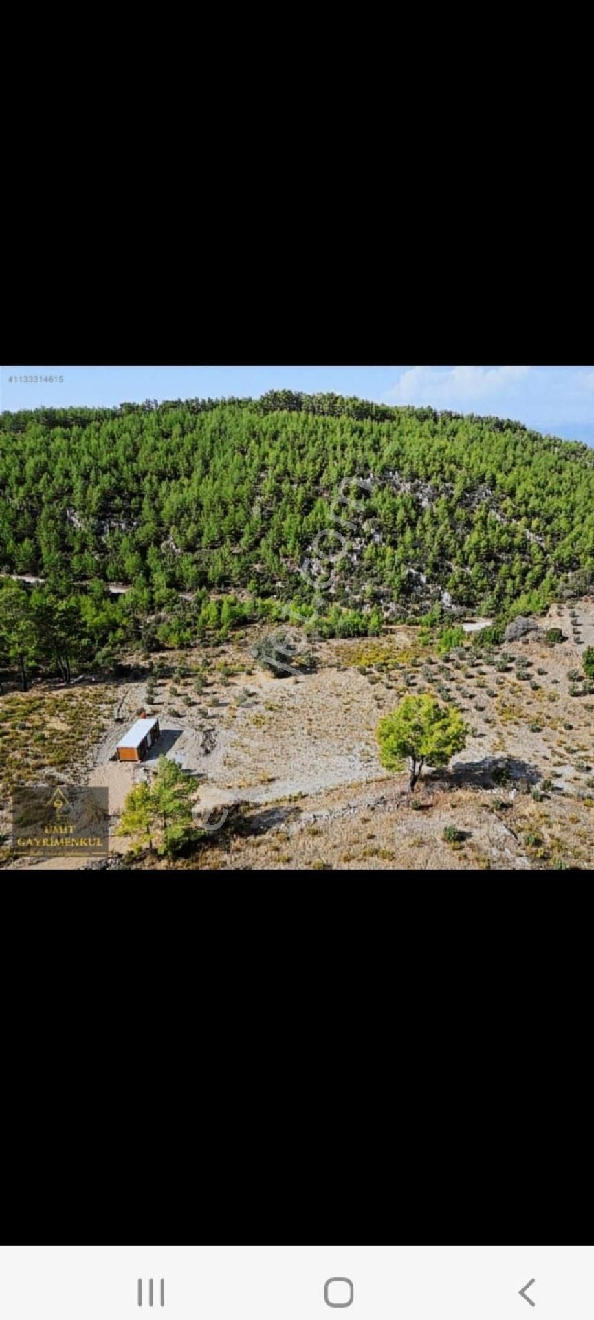 Dalaman Kızılkaya Köyünde Satılık Tarla