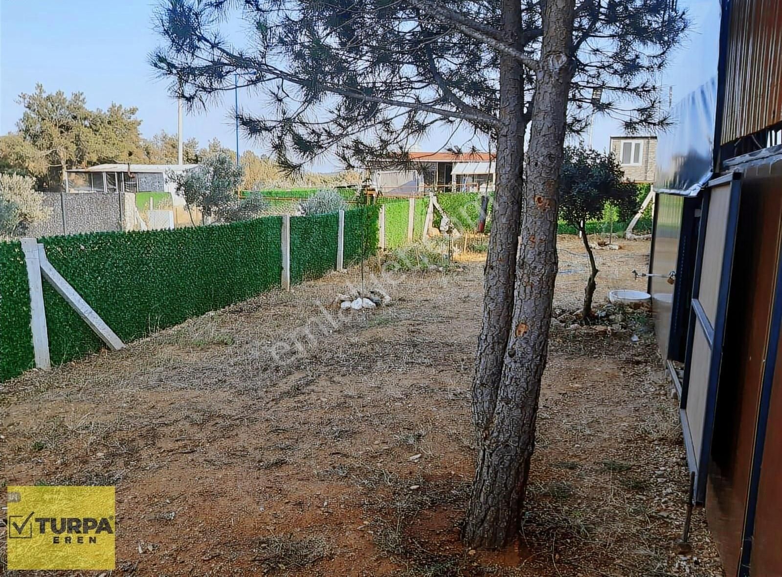 İzmir Torbalı Çamlıca Satılık Koop. Hissesi - Görsel 11