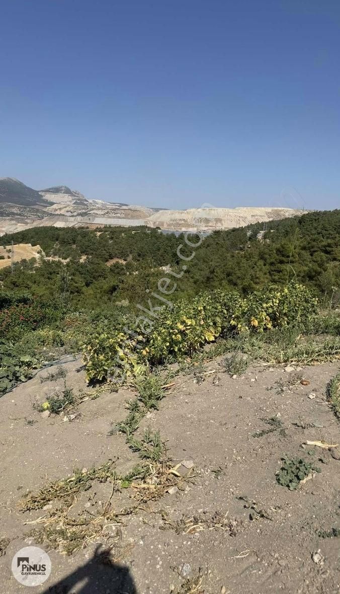 Pinus Gayrimenkul'den Satılık Müstakil Ev - Görsel 11