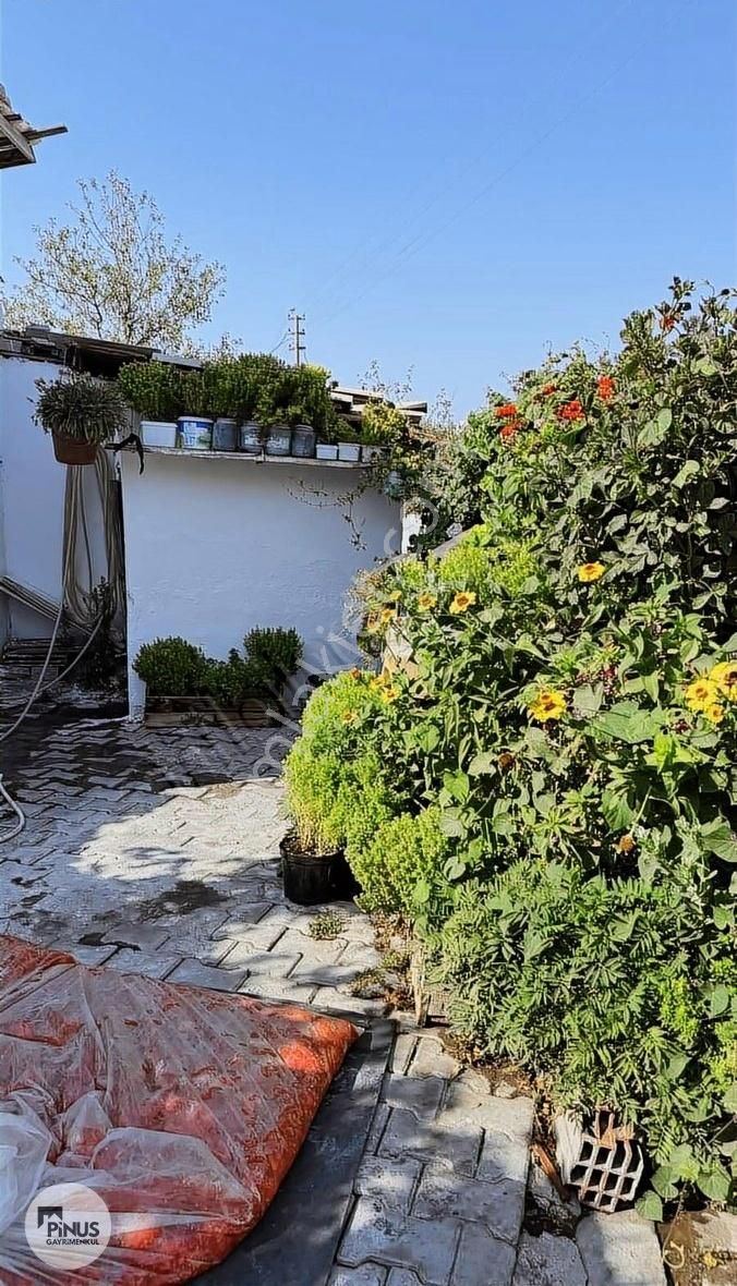 Pinus Gayrimenkul'den Satılık Müstakil Ev - Görsel 16