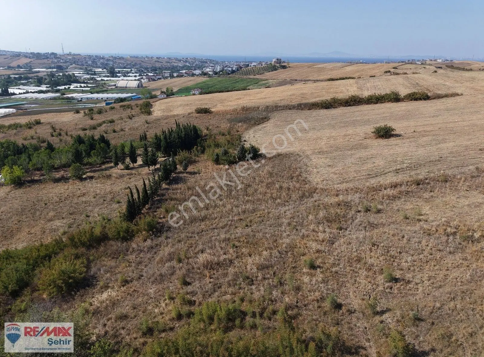 Yalova Merkez Kazımiye Köyünde Satılık Tarla - Görsel 2