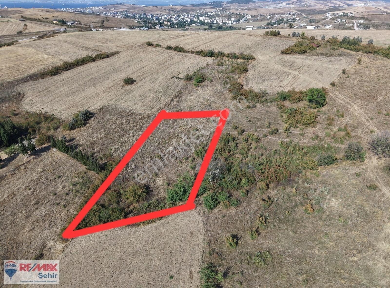 Yalova Merkez Kazımiye Köyünde Satılık Tarla - Görsel 6