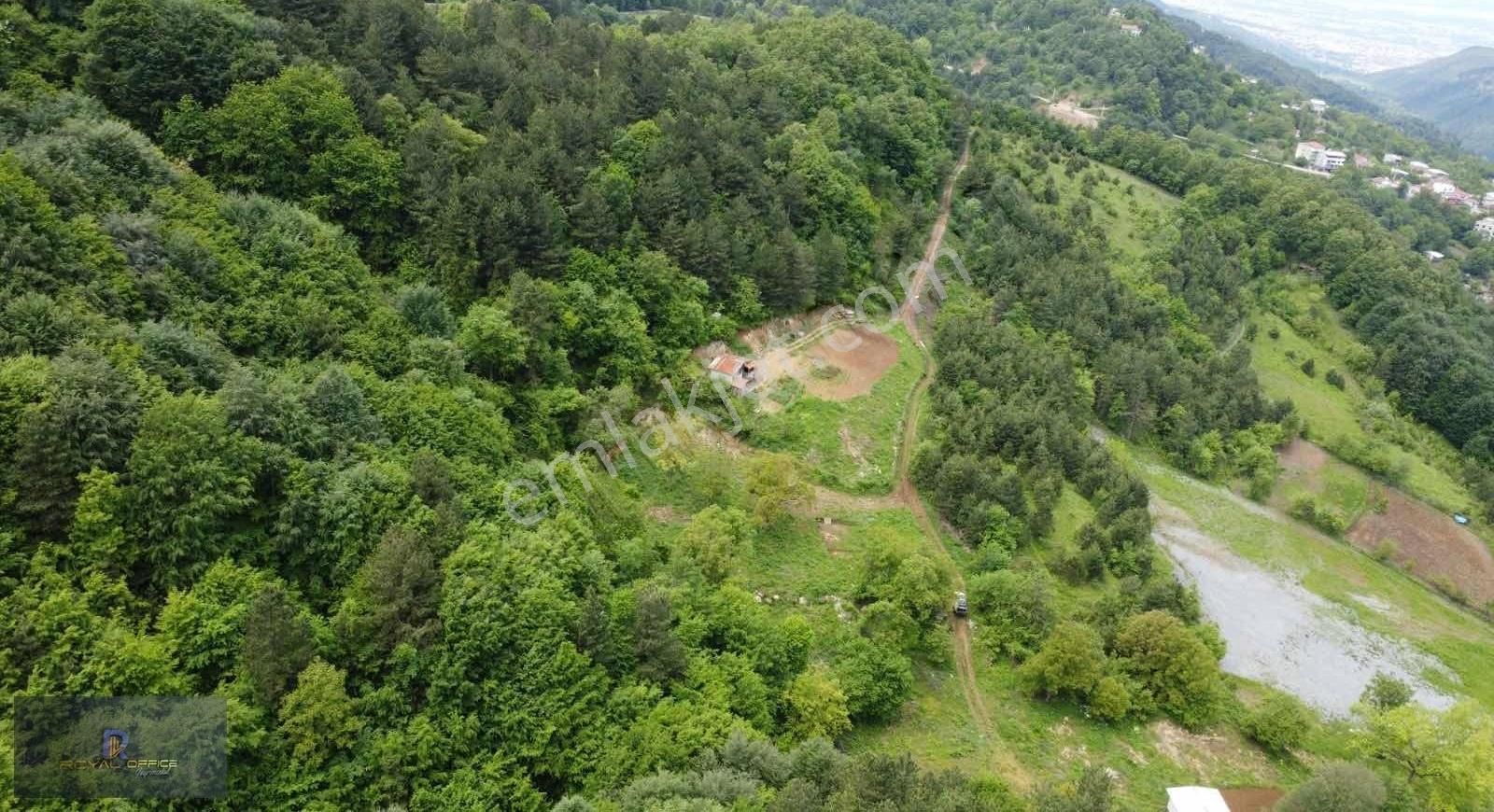 Royal Office | Kestel Orhaniye Cemiyette 400m2 Hobi Bahçesi - Görsel 5