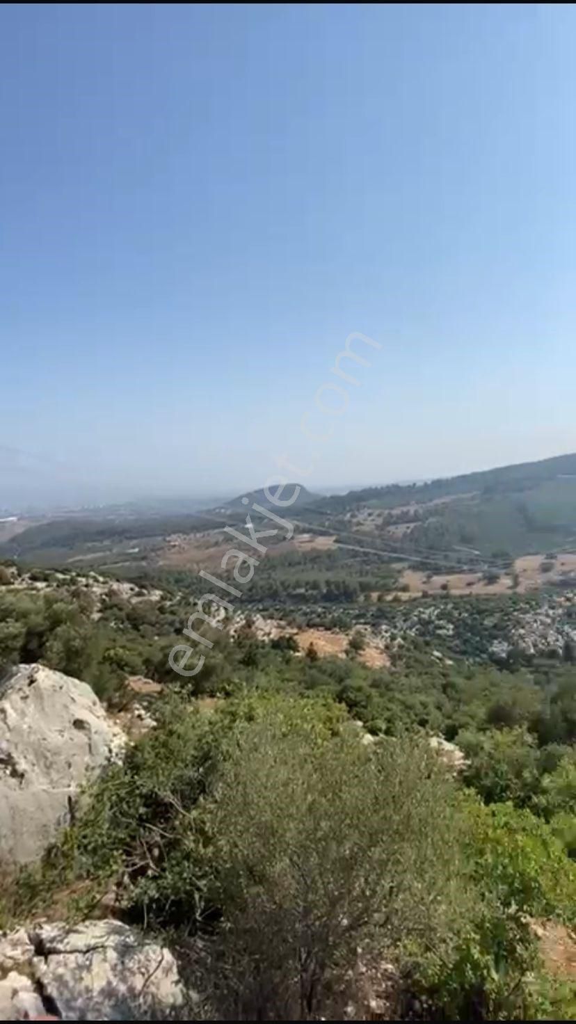 Retro'dan Yenişehirde Tokilere Komşu Parsel Fırsat Arsa