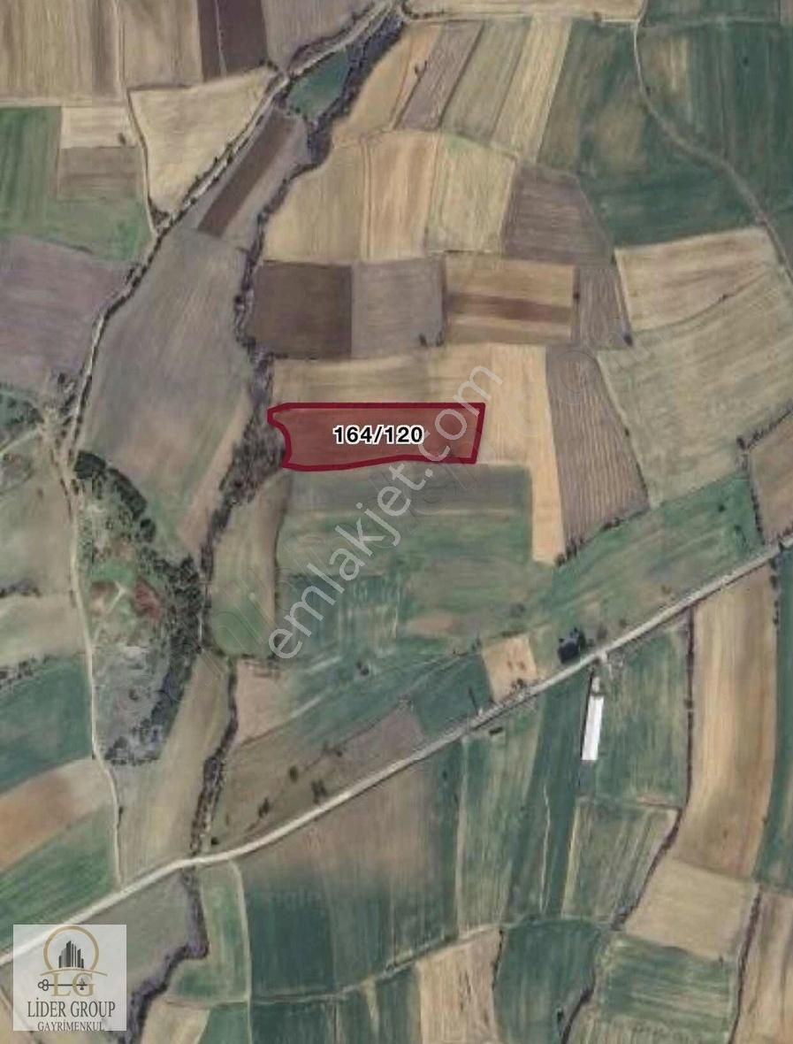 Gelibolu Süleymaniye De Köye Yakın - Görsel 2